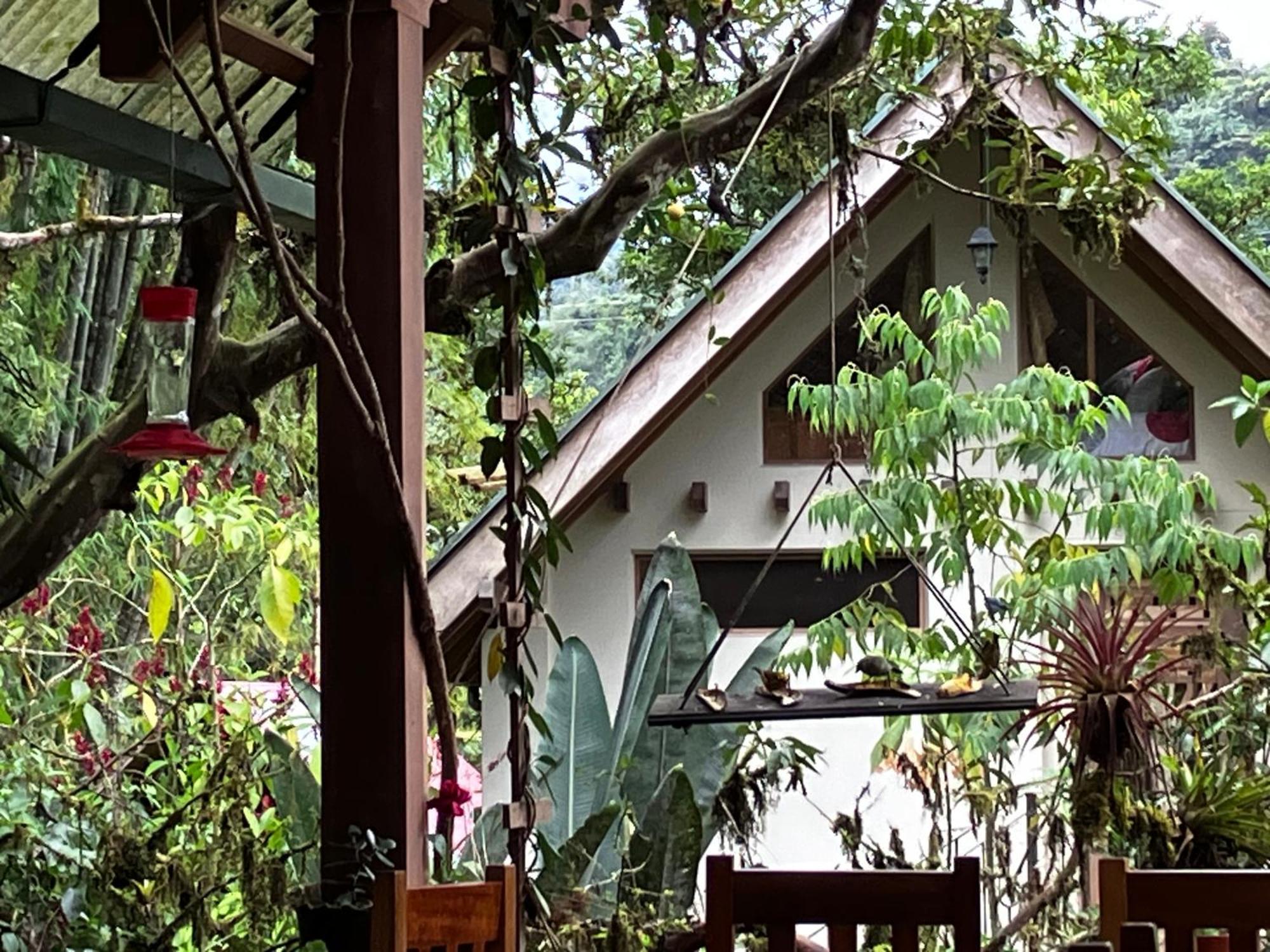 Casa Del Rio En Mindo Bed & Breakfast Eksteriør bilde