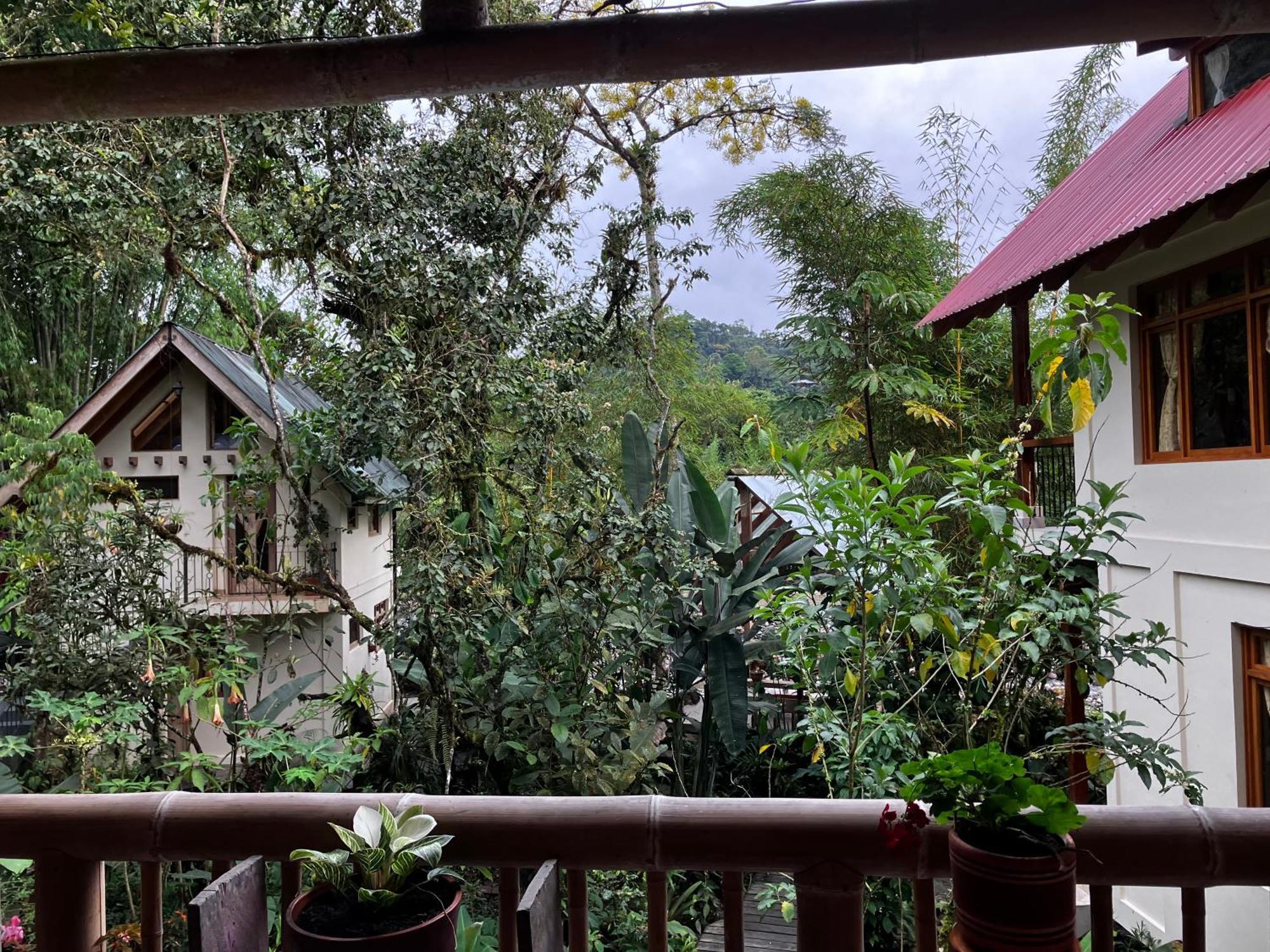 Casa Del Rio En Mindo Bed & Breakfast Eksteriør bilde