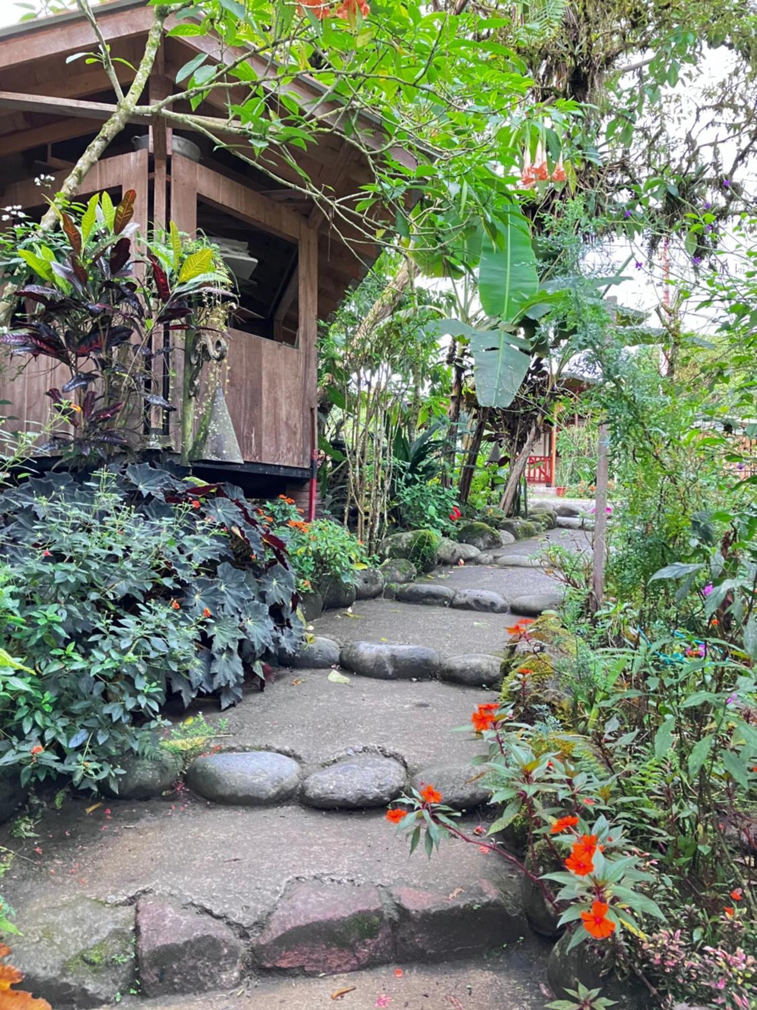 Casa Del Rio En Mindo Bed & Breakfast Eksteriør bilde